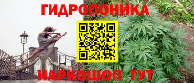 хмурый Бийск